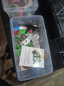 All in One Baby Gecko Kit