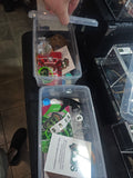 All in One Baby Gecko Kit