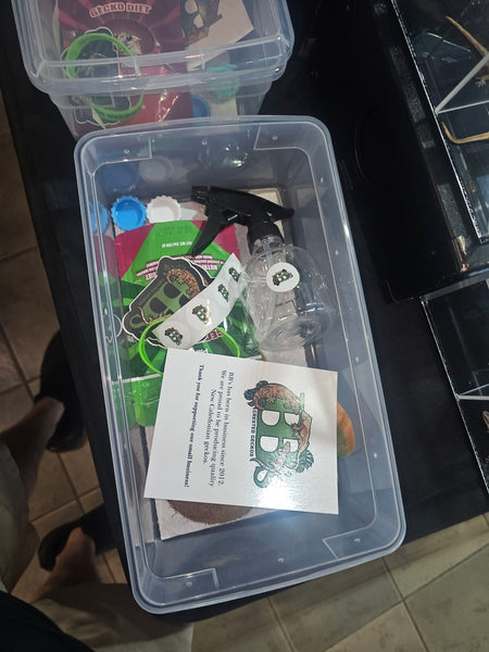 All in One Baby Gecko Kit