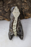Crested Gecko Black & White Proven  (cg#156)