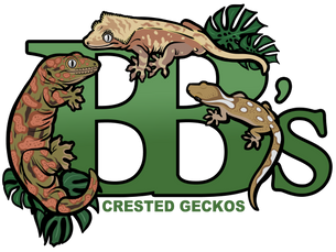 BB's Crested Gecko's