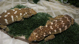 LB557- Purple GTX Leachianus Gecko