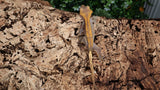 CGHL2- Fire Crested Gecko - ( 100% Het. Leusistic )