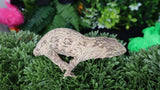 LB518- Het. Melanistic Leachianus