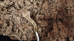 CG326- RTB Male Pinstripe Harlequin Crested Gecko