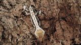 CG324- Male Tricolor Whitewall Crested Gecko