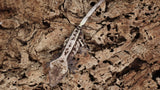 SAB3- Male High White Sable Crested Gecko