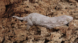 LB542- Het. Hypo Leachianus Gecko