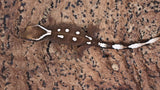 SG34- 7 Spot Sarasinorum Gecko