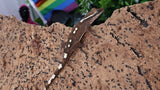 SG35- 7 Spot Sarasinorum Gecko