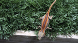 GG394- Red Stripe Gargoyle Gecko