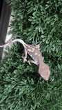 Frap44- Phantom Frappuccino Crested Gecko