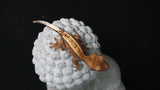 Cap44- Cappuccino Crested Gecko