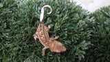 CG343- Creamsicle Crested Gecko