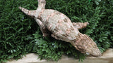 LB549- High Color GTX Leachianus Gecko
