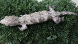 LB570- DM X MTK Female Leachianus Gecko