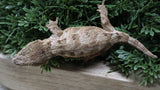 LB557- Purple GTX Leachianus Gecko