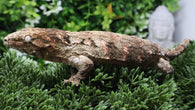 LB563- GTA X PI Female Leachianus Gecko