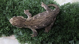 LB574- Female MTK Melanistic Leachinus Gecko