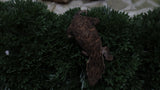 LB577- Melanistic Leachianus Gecko