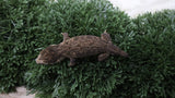 LB576- MTK Melanistic Leachianus Gecko