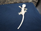 Lilly White Crested Gecko (CLW40)
