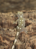 Sarasinorum Gecko White Collar 7 Spots (SG17)