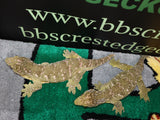 Possible Phantom Eye Leachianus Gecko female LB438