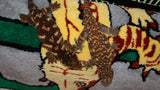 LB464- High color Starburst Leachianus