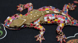 White Collar Sarasinorum Gecko (SG21)