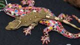 White Collar Sarasinorum Gecko (SG23)