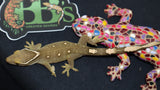 White Collar Sarasinorum Gecko (SG23)