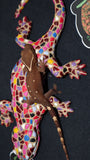 White Collar Sarasinorum Gecko (SG24)