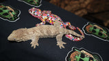 GTA Leachianus Gecko  Female LB392