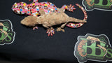 Brosse Leachianus Gecko  Male LB394