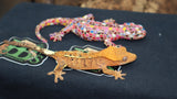 Orange Tiger Cappuccino Crested Gecko CAP11