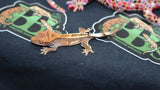 Harlequin Cappuccino Crested Gecko CAP14