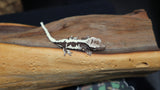 Axanthic Lilly White Crested Gecko CGAX01