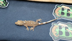 White Collar Sarasinorum Gecko SG26