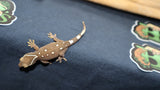 White Collar Sarasinorum Gecko SG26