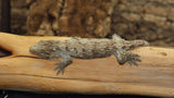 Possible Het Melanistic Leachianus Gecko male LB417