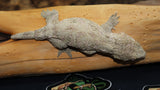 High Pink x Brosse x Moro Leachianus Gecko female LB441