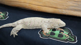 High Pink x Brosse x Moro Leachianus Gecko female LB441