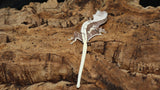 Axanthic Male Crested Gecko CGAX04