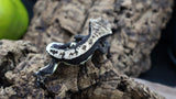 Lily White Het Axanthic Male Crested Gecko HLWAX03 (AE line)