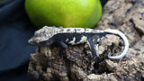 Lily White Het Axanthic Male Crested Gecko HLWAX03 (AE line)