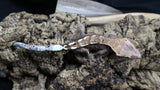 Cappuccino Male Crested Gecko CAP17