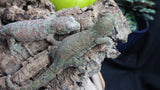 Pine Island Red/Pink Pair (Dasiy/Nelldar)
