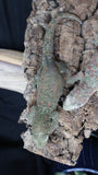 Pine Island Red/Pink Pair (Dasiy/Nelldar)