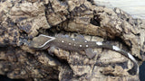 White Collar Sarasinorum Gecko SG01